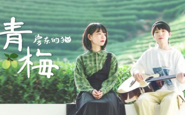 青梅吉他谱_封面