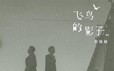 飞鸟的影子吉他谱_封面