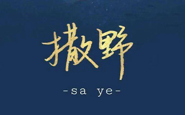 撒野吉他谱