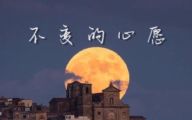 不变的心愿吉他谱_封面