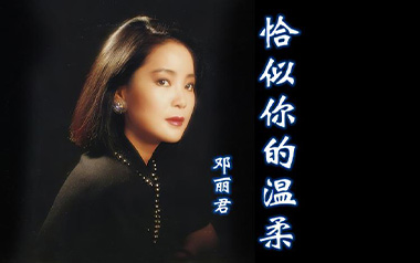 恰似你的温柔吉他谱