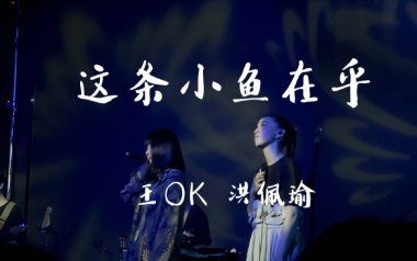 这条小鱼在乎吉他谱_封面