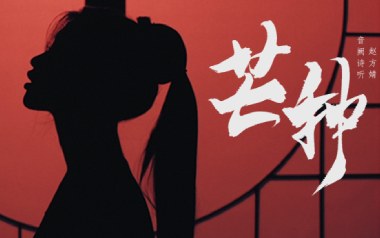 芒种吉他谱_封面
