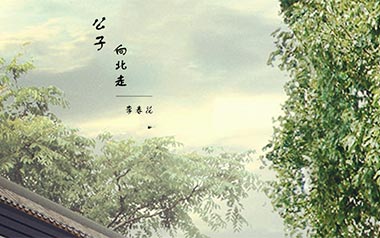 公子向北走吉他谱