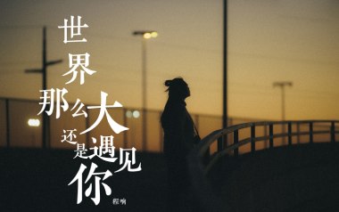 世界这么大还是遇见你指弹吉他谱_封面
