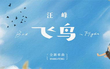 飞鸟吉他谱_封面