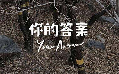 你的答案吉他谱_封面