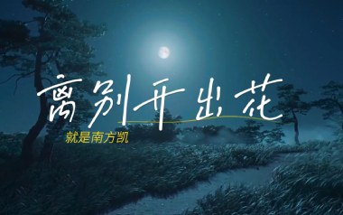 离别开出花吉他谱