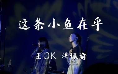这条小鱼在乎吉他谱
