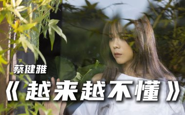 越来越不懂吉他谱