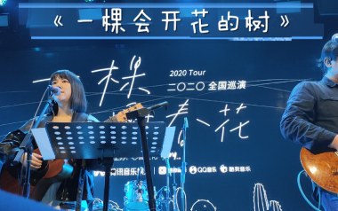 一棵会开花的树吉他谱_封面