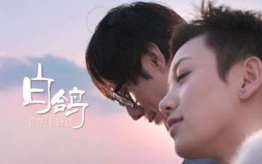白鸽吉他谱_封面