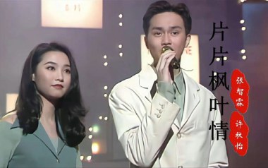片片枫叶情吉他谱_封面