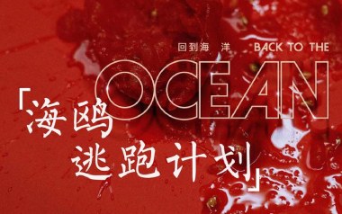 海鸥吉他谱