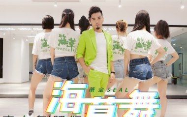 海草舞吉他谱_封面