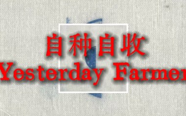 自种自收吉他谱_封面