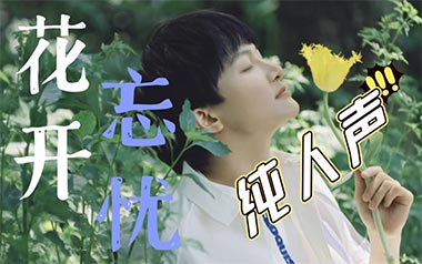 花开忘忧吉他谱_封面