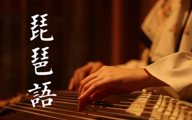 琵琶语指法吉他谱_封面