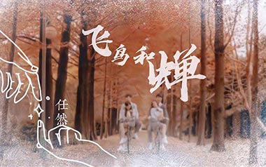 飞鸟和蝉吉他谱_封面