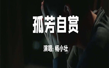 孤芳自赏吉他谱_封面