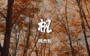 枫指弹吉他谱_封面