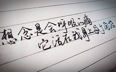 会呼吸的痛吉他谱_封面