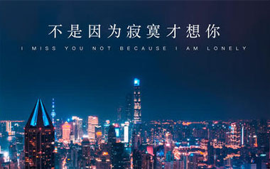 不是因为寂寞才想你吉他谱