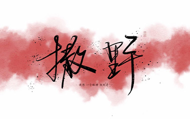 撒野吉他谱_封面