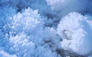 雪绒花指弹吉他谱_封面