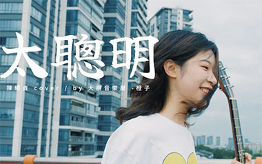 太聪明吉他谱
