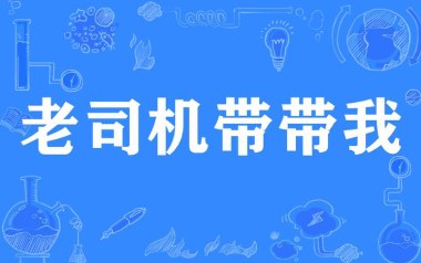 老司机带带我吉他谱_封面