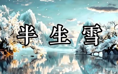 半生雪指弹吉他谱