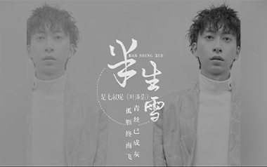 半生雪吉他谱_封面