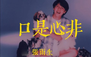 口是心非吉他谱