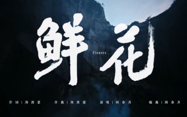 鲜花吉他谱