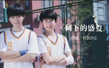 剩下的盛夏吉他谱_封面