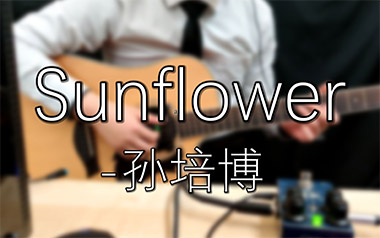 太阳花指弹吉他谱