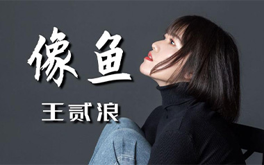 像鱼吉他谱