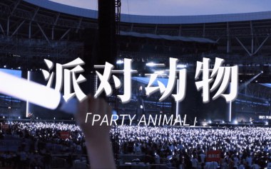 派对动物吉他谱_封面