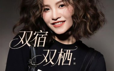 双宿双栖吉他谱_封面