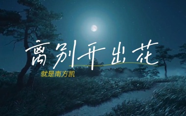 离别开出花吉他谱