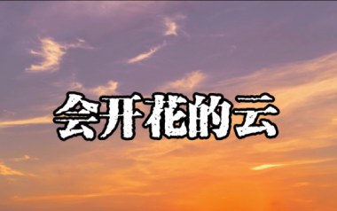 会开花的云吉他谱_封面