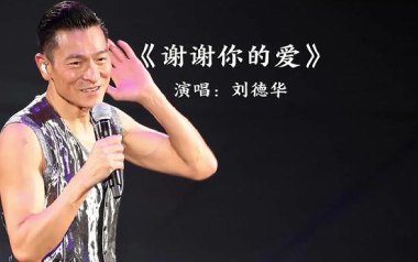 谢谢你的爱吉他谱_封面