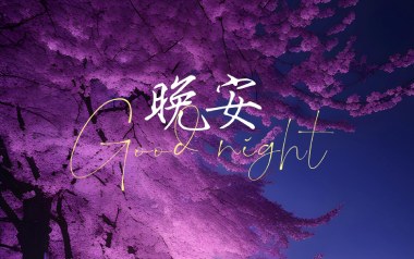 晚安吉他谱_封面