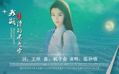 我期待的不是雪吉他谱