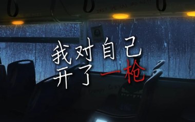 我对自己开了一枪吉他谱_封面