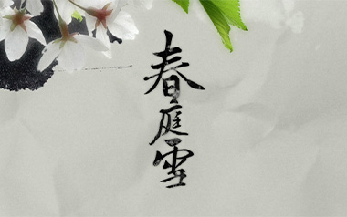 春庭雪吉他谱_封面