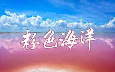 粉色海洋吉他谱_封面