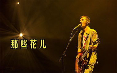 那些花儿吉他谱_封面