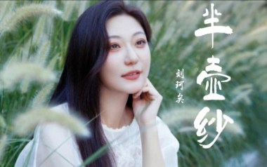 半壶纱指弹吉他谱_封面